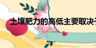 土壤肥力的高低主要取决于(土壤肥力)