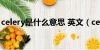 celery是什么意思 英文(celery是什么意思)