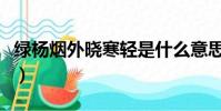 绿杨烟外晓寒轻是什么意思(绿杨烟外晓寒轻)