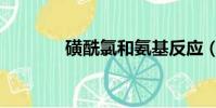 磺酰氯和氨基反应(磺酰氯)