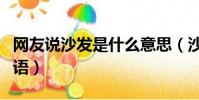 网友说沙发是什么意思(沙发什么意思网络用语)