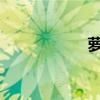 萝莉法师的异界之旅