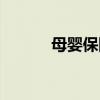 母婴保险在哪里买（母婴保险）