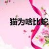 猫为啥比蛇厉害（猫和蛇为什么是天敌）