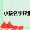 小孩名字梓童的寓意（女孩子叫梓童好吗）
