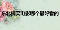 东北搞笑电影哪个最好看的(东北搞笑电影)