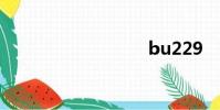 bu229