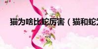 猫为啥比蛇厉害(猫和蛇为什么是天敌)