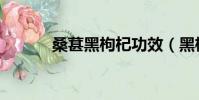 桑葚黑枸杞功效(黑枸杞功效)