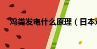 鸡粪发电什么原理(日本鸡场鸡粪发电)