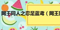 网王同人之忍足蓝鸢(网王同人之莫怜羽熙)
