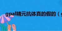gpal精元抗体真的假的(gpal精元抗体)