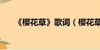 《樱花草》歌词(樱花草歌词完整版)