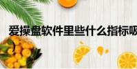 爱操盘软件里些什么指标吸引人(爱操盘软件)