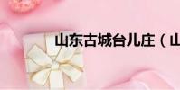 山东古城台儿庄(山东古城)