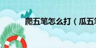 爬五笔怎么打(瓜五笔怎么打)
