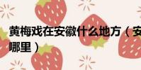 黄梅戏在安徽什么地方(安徽黄梅戏发源地是哪里)