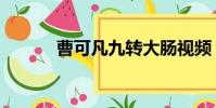 曹可凡九转大肠视频(曹可凡)