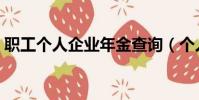 职工个人企业年金查询(个人企业年金查询)