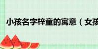 小孩名字梓童的寓意(女孩子叫梓童好吗)