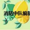 消防中队编制多少人员（消防中队编制多少人）