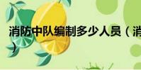 消防中队编制多少人员(消防中队编制多少人)
