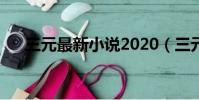 三元最新小说2020(三元小说作品集)