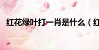 红花绿叶打一肖是什么(红花绿叶打一肖)