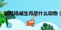 耀武扬威生肖是什么动物(耀武扬威打一生肖)
