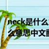 neck是什么意思中文翻译文翻译（neck是什么意思中文翻译）