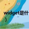 widget是什么意思中文（widget是什么意思）