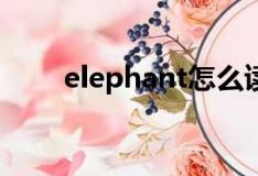 elephant怎么读（rooster怎么读）
