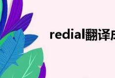 redial翻译成中文（redial）