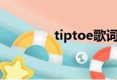 tiptoe歌词中文（tiptoe）