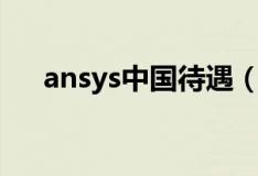 ansys中国待遇（ansys会了底薪多少）