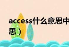 access什么意思中文翻译成（access什么意思）