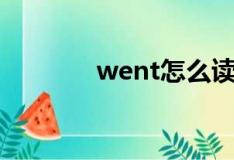 went怎么读（want怎么读）