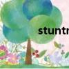 stuntman复数（stuntman）