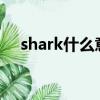 shark什么意思?（shark什么意思中文）