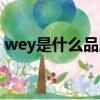 wey是什么品牌车图片（wey是什么品牌车）