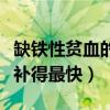 缺铁性贫血的人吃什么补血最快（缺铁吃什么补得最快）