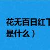 花无百日红下句是什么意思（花无百日红下句是什么）