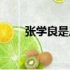 张学良是周杰伦歌迷（周杰伦歌迷）