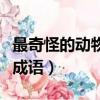 最奇怪的动物成语怎么说（最奇怪的动物打一成语）