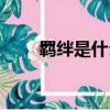 羁绊是什么意思（束缚是什么意思）