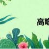 高瞻远瞩的拼音（高瞻）
