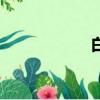 白鸟任三郎（白鸟）