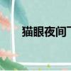 猫眼夜间飞行9（猫眼夜间飞行漫画）