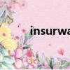 insurwallet官网（insurwallet）
