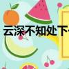 云深不知处下一句古诗（云深不知处下一句）